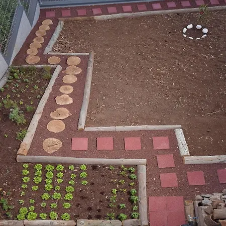 Villa Ourmadeira - Casa Da Rosalina, Superb